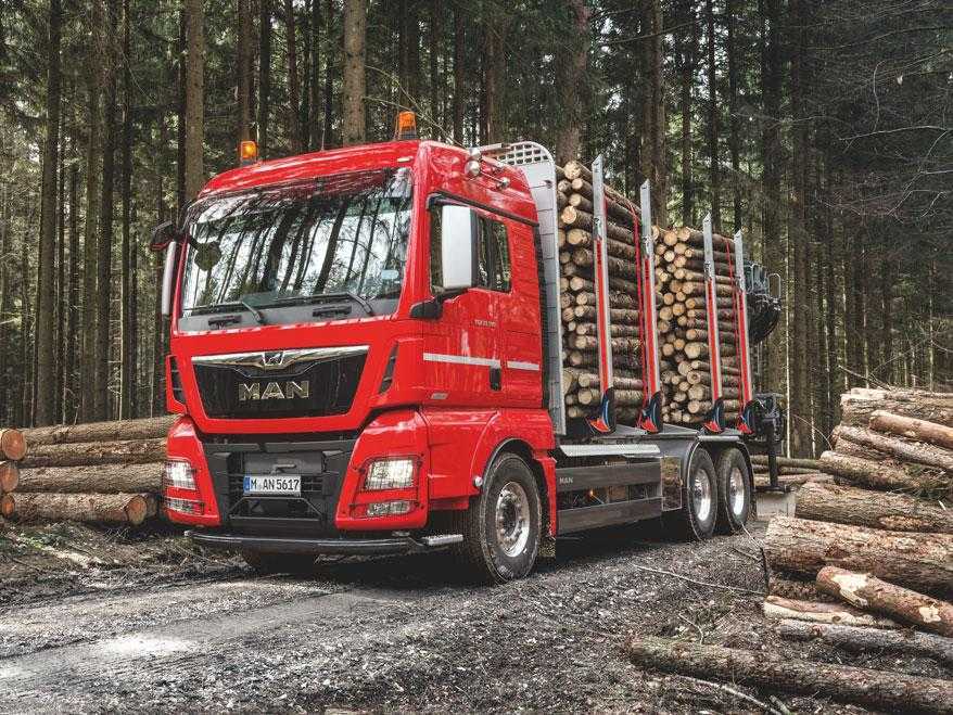 Лесное и сельское хозяйство